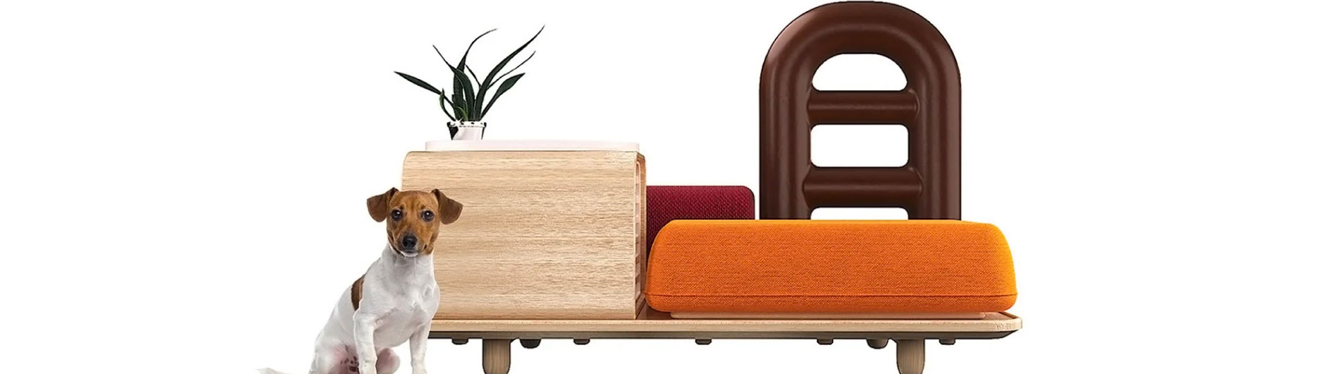 Modo de Vida - Mascotamiglables