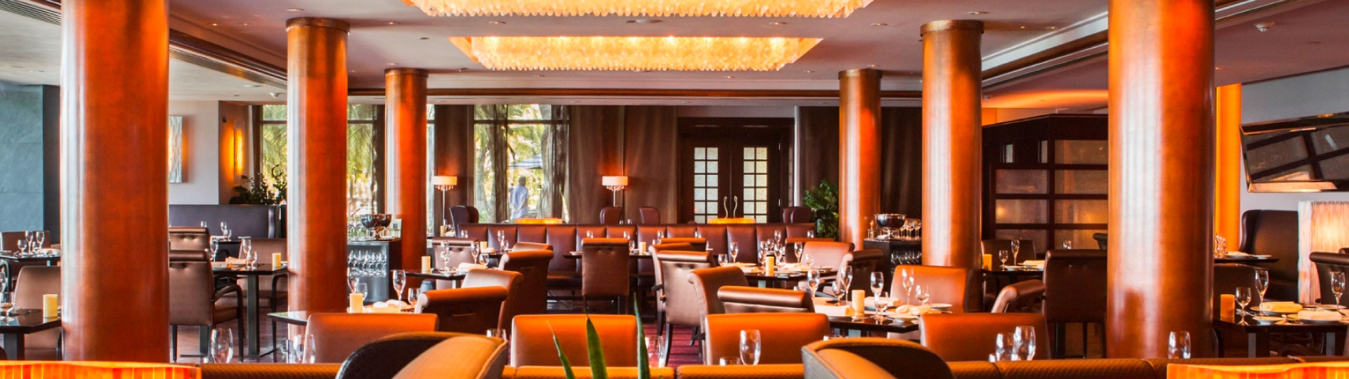 1919: Un Nuevo Comienzo