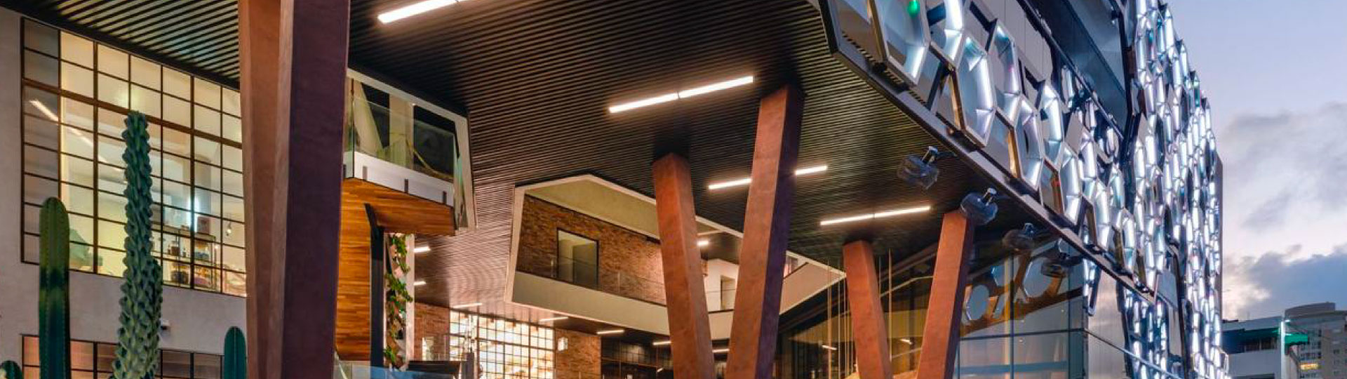 Modo de Vida - Bloom