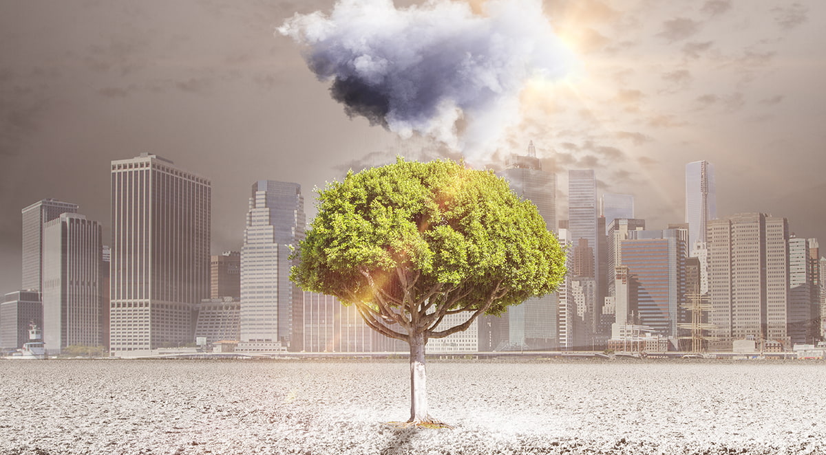 low carbon