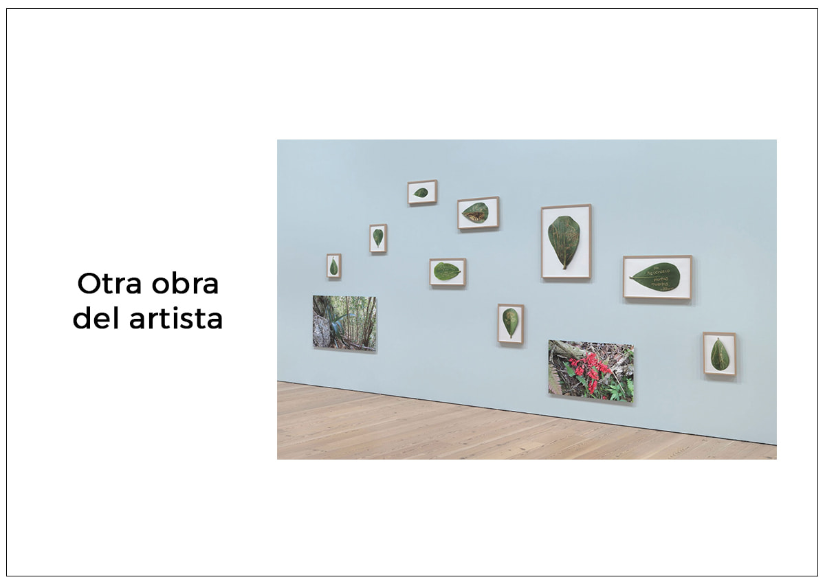 Cena por el MAC - Javier Orfón Cena por el MAC - Javier Orfón