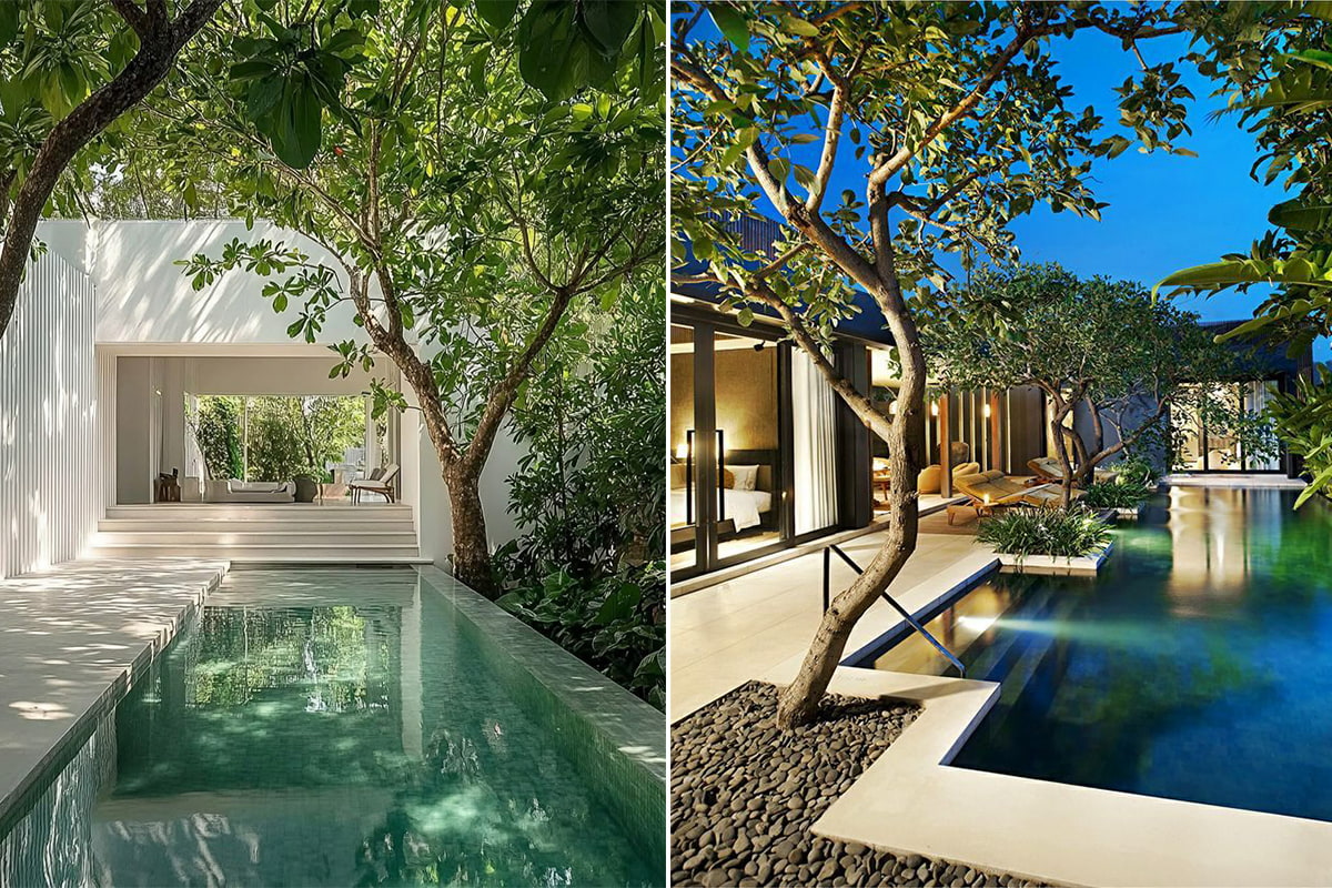 piscina vegetacion