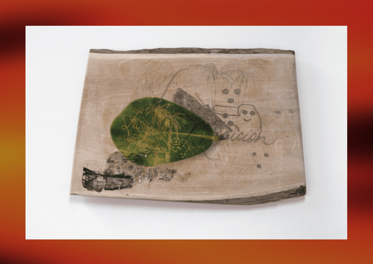 Cena por el MAC - Javier Orfón Cena por el MAC - Javier Orfón