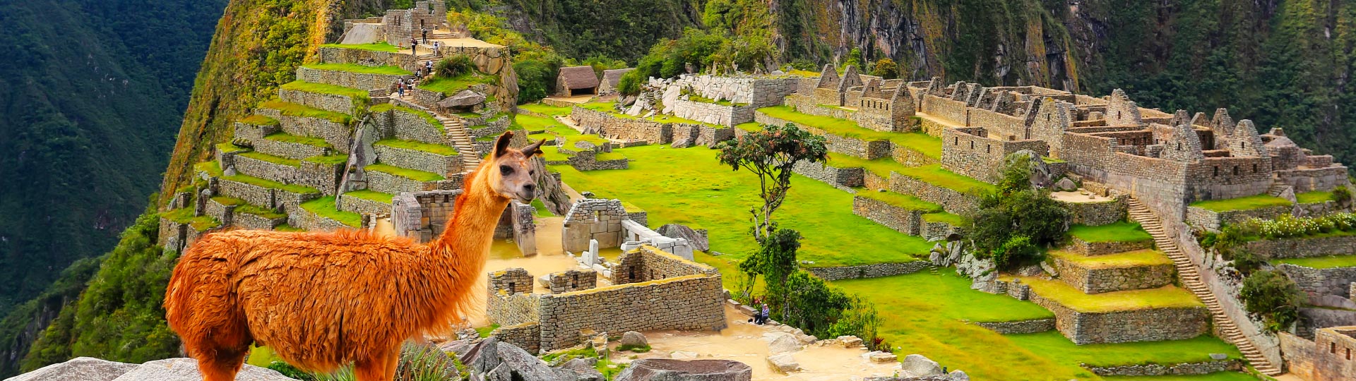 Viajes Memorables: Una Inyección de Diseño para los Sentidos