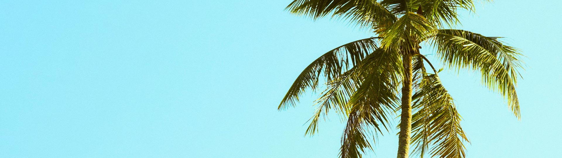 Modo de Vida - MIAMI: Un gran lienzo de inversión para los puertorriqueños